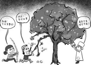 農(nóng)藥殘留會(huì)傷身“棒打”銀杏會(huì)傷樹(shù) 農(nóng)藥殘留會(huì)傷身“棒打”銀杏會(huì)傷樹(shù)